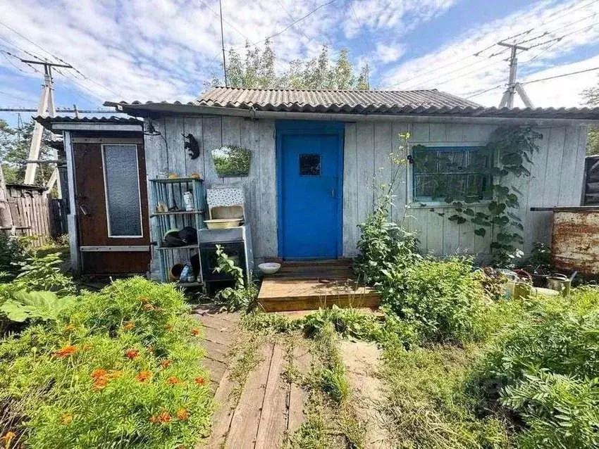 Дом в Амурская область, с. Ивановка ул. Подстанционная, 7 (42 м) - Фото 1