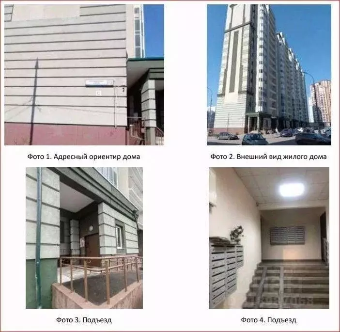 1-к кв. Московская область, Домодедово Южный мкр, ул. Курыжова, 13 ... - Фото 0