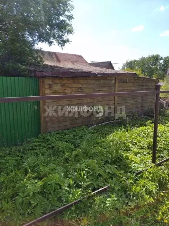 Участок в Новосибирская область, Новосибирск Любитель СТ,  (5.3 сот.) - Фото 2