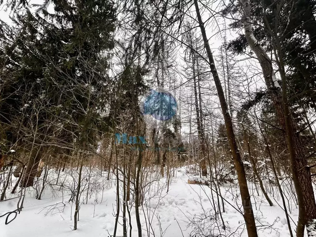 Участок в Московская область, Наро-Фоминский городской округ, Дорожник ... - Фото 0