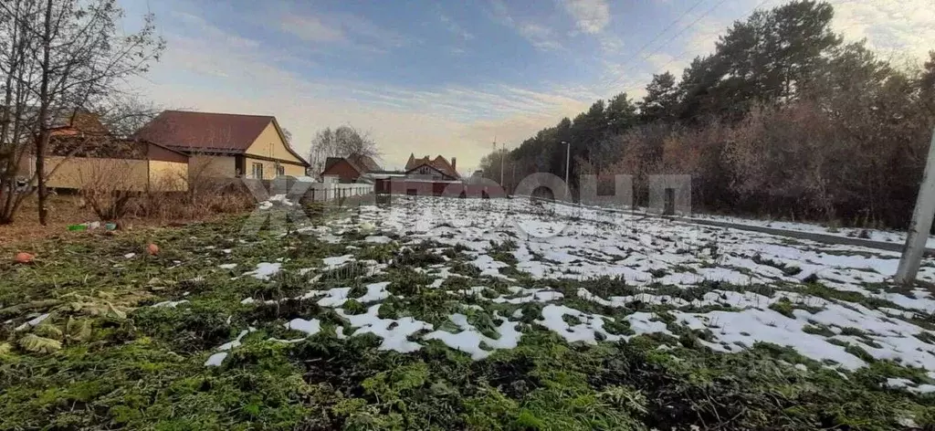 Участок в Новосибирская область, Черепановский район, пос. Пушной ул. ... - Фото 2