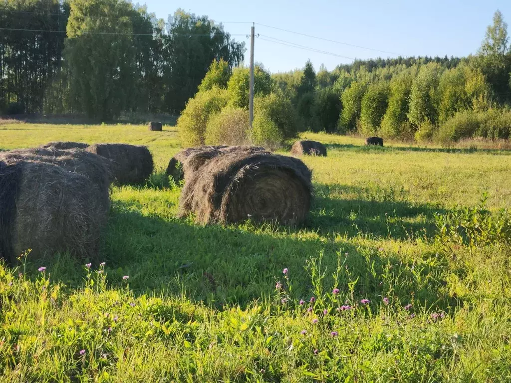Участок в Тверская область, Бологое  (10.0 сот.) - Фото 1