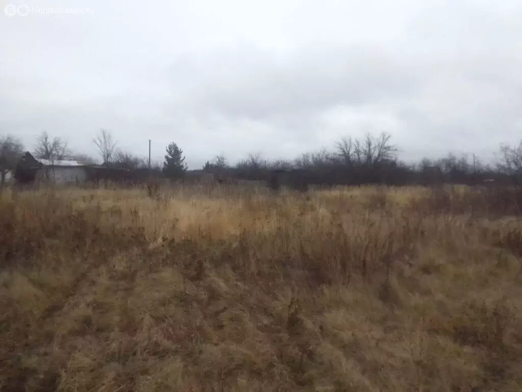 Участок в Пензенский район, Богословский сельсовет, СДТ Надежда (4 м) - Фото 1