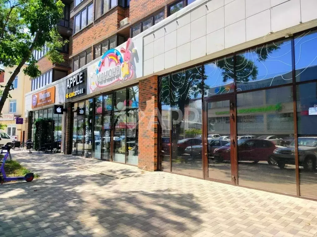 Помещение свободного назначения в Краснодарский край, Анапа ул. ... - Фото 1