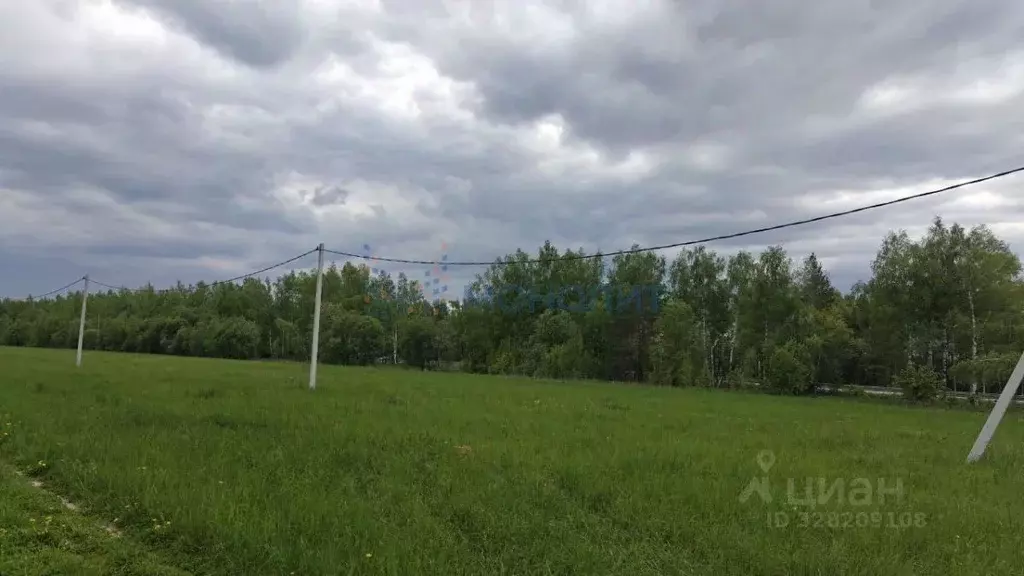 Участок в Нижегородская область, Дальнеконстантиновский муниципальный ... - Фото 2