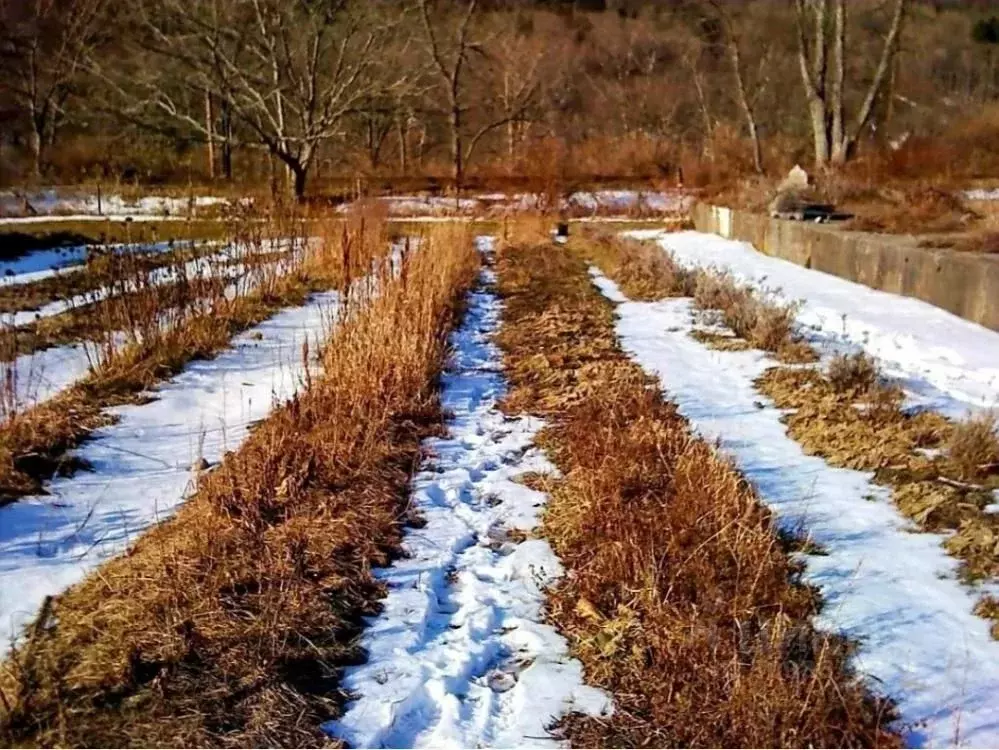 Участок в Иркутская область, Иркутский муниципальный округ, с. ... - Фото 0