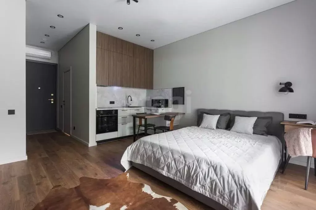 Студия Новосибирская область, Новосибирск Красный просп., 220 (27.0 м) - Фото 2