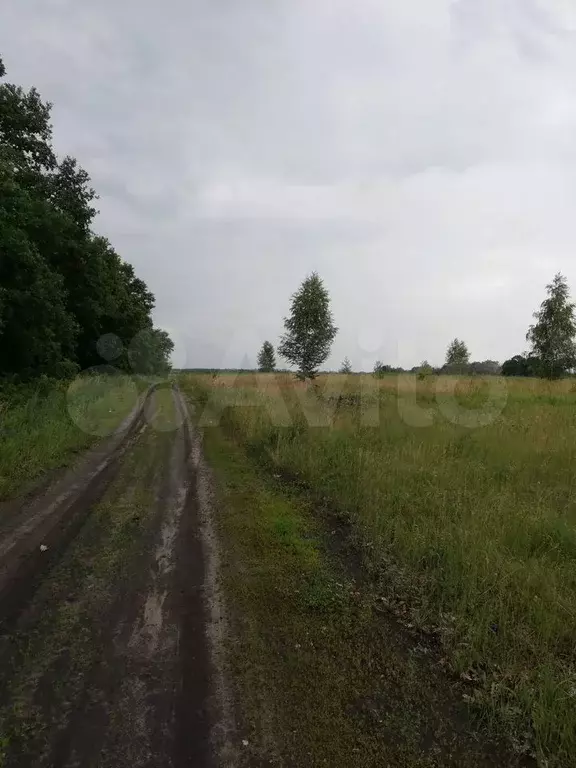 Участок 10 сот. (ИЖС) - Фото 0