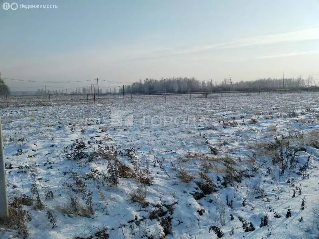 Участок в село Марусино, Рябиновая улица (10.2 м) - Фото 1