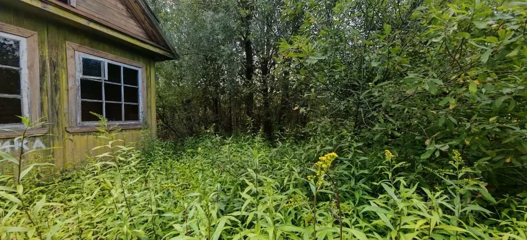 Дом в Тверская область, Тверь Восход СНТ, 40 (20 м) - Фото 2