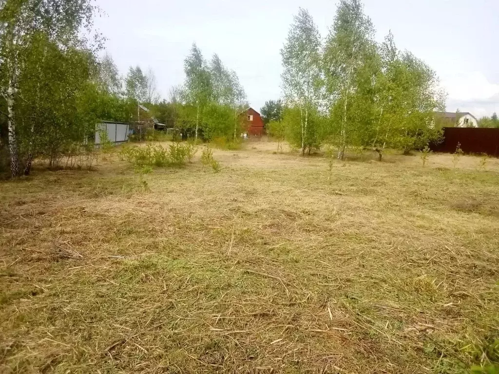 Участок в Московская область, Ступино городской округ, Надежда СНТ  ... - Фото 1