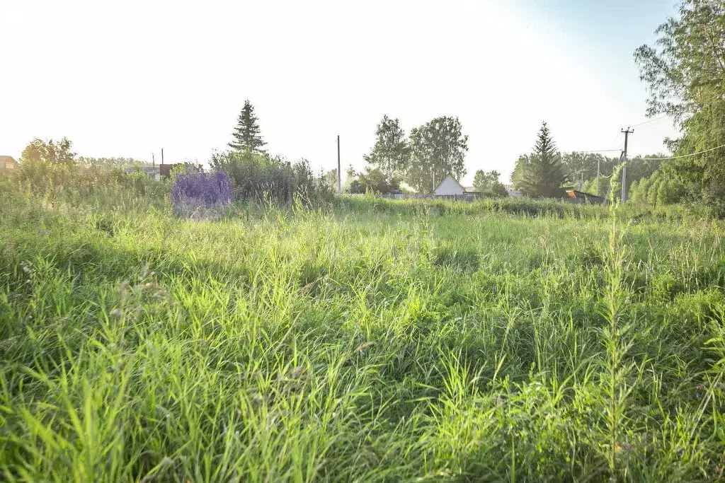 Участок в Бердск, СНТ Ива, 12-я улица (5.5 м) - Фото 1