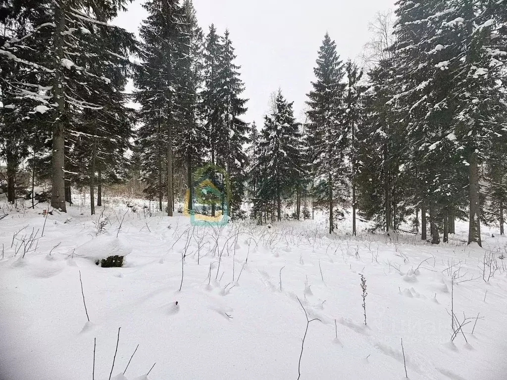 Участок в Ленинградская область, Всеволожский район, Лесколовское ... - Фото 2
