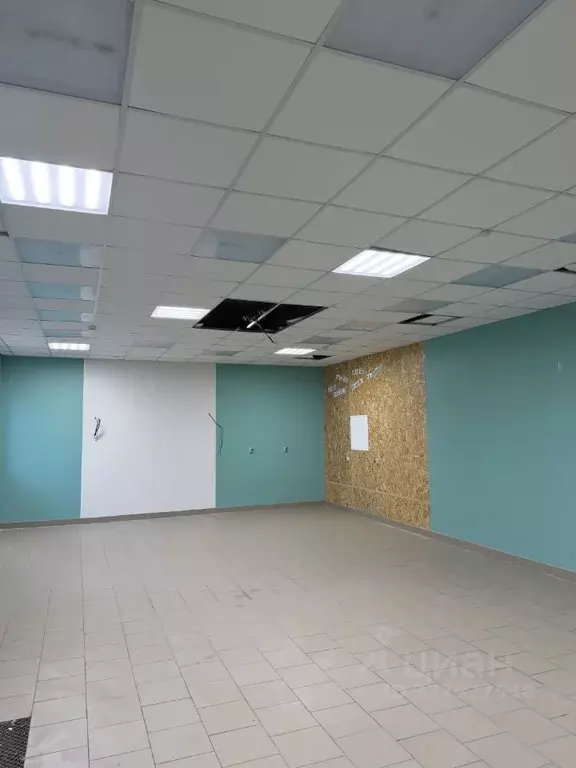 Помещение свободного назначения в Санкт-Петербург ул. Некрасова, 48 ... - Фото 2