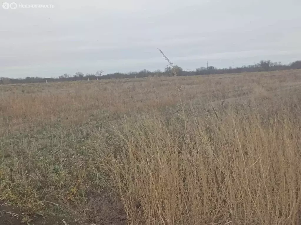 Участок в Краснодарский край, Ейск (6.1 м) - Фото 1