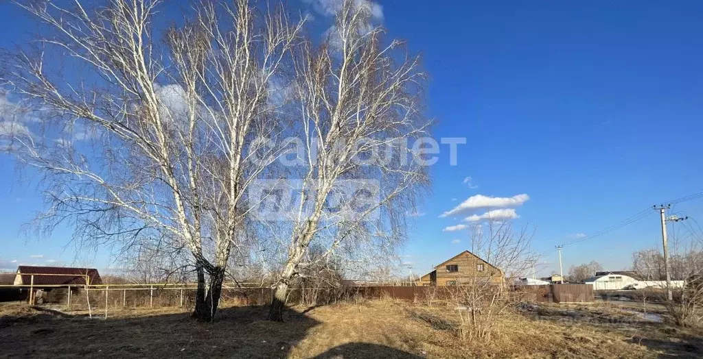 Участок в Челябинская область, Сосновский район, с. Вознесенка Зеленая ... - Фото 0