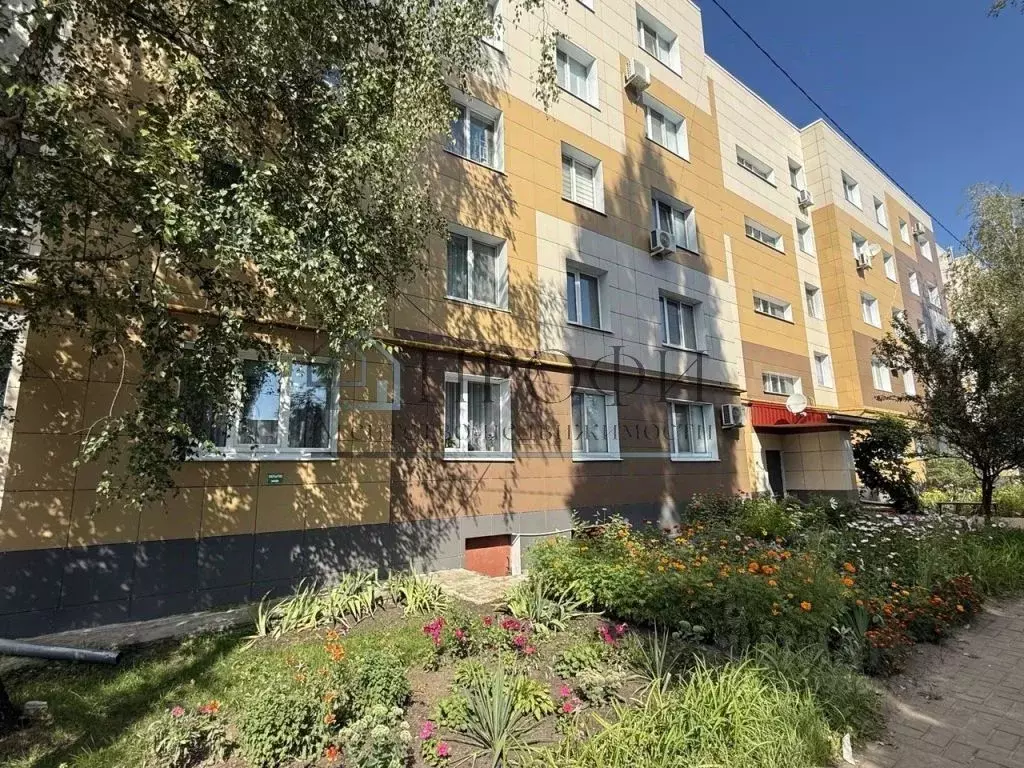 3-к кв. Белгородская область, Новый Оскол Ливенская ул., 138 (65.4 м) - Фото 0