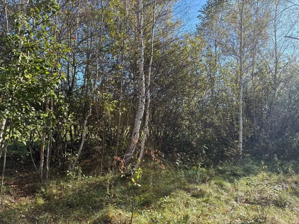 Участок в Московская область, Воскресенск городской округ, с. ... - Фото 1