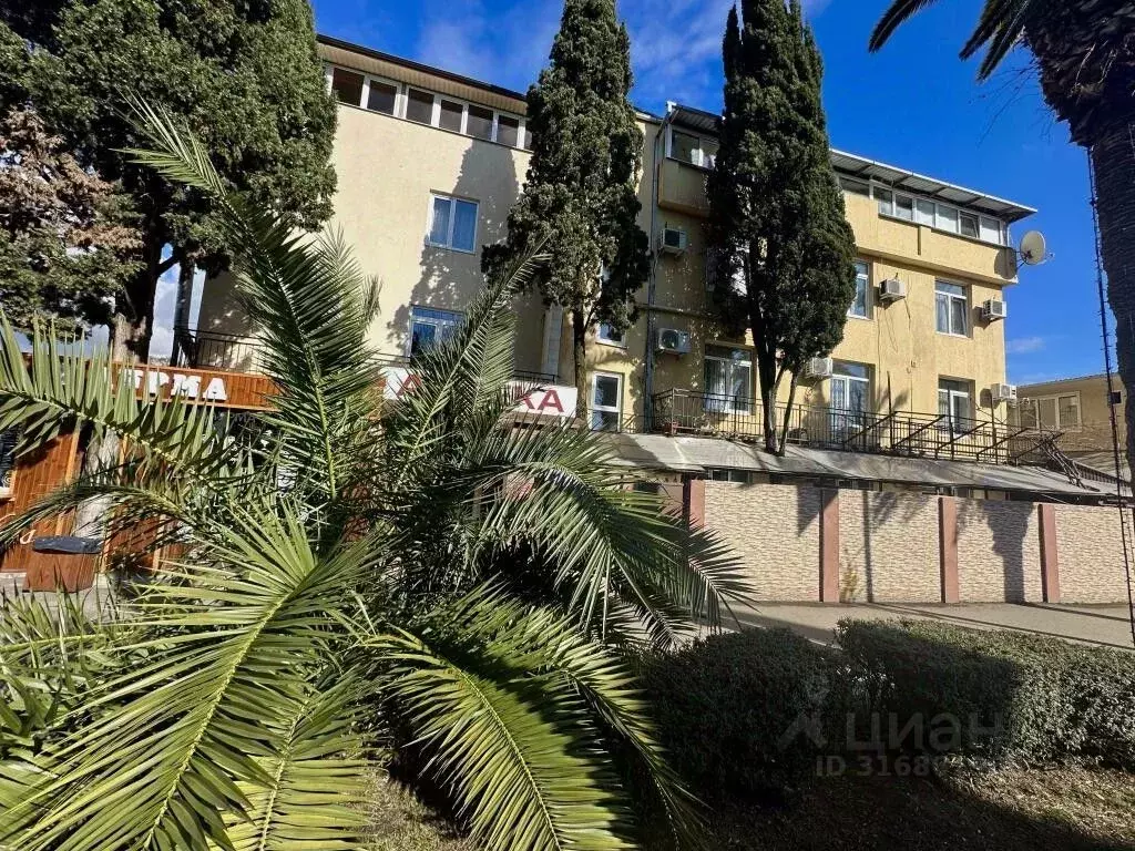 Комната Краснодарский край, Сочи ул. Ленина, 102 (10.0 м) - Фото 0