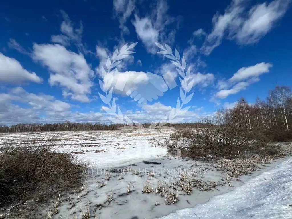 Участок в Калужская область, Барятинский район, Бахмутово с/пос, д. ... - Фото 2