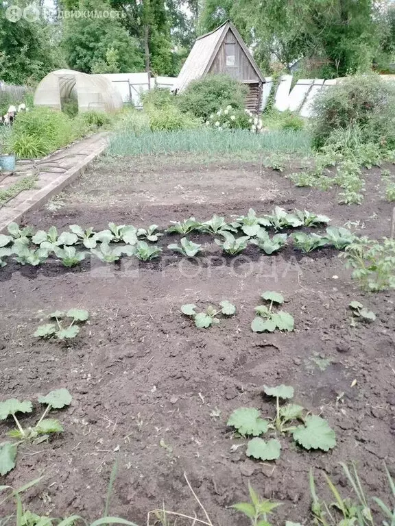 Участок в Новосибирск, садовое товарищество Ложок, 21-я улица (4 м) - Фото 2