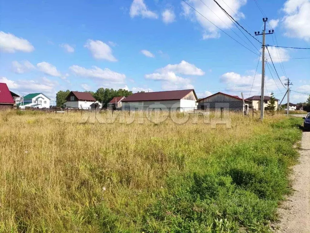Участок в Новосибирская область, Новосибирский район, Станционный ... - Фото 1