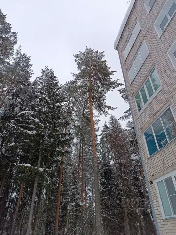 2-к кв. Кировская область, Оричевский район, Кучелаповское с/пос, пос. ... - Фото 1