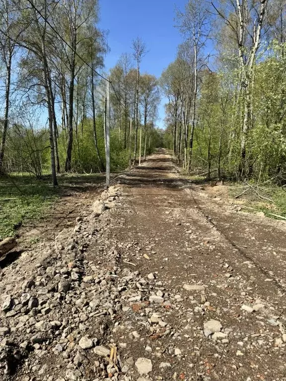 Участок в Московская область, Рузский муниципальный округ, пос. ... - Фото 1
