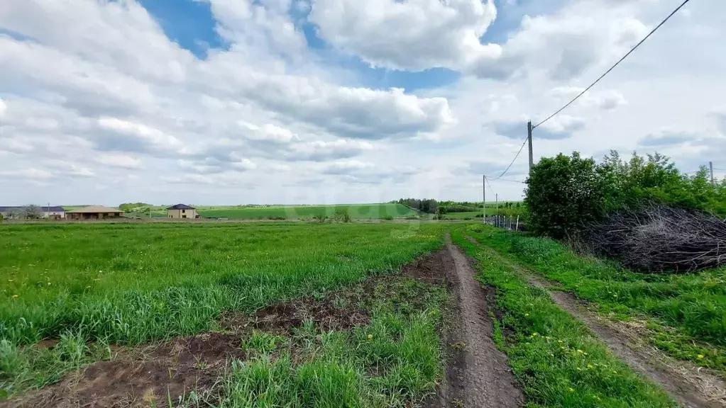 Участок в Липецкая область, Липецкий муниципальный округ, с. Частая ... - Фото 1