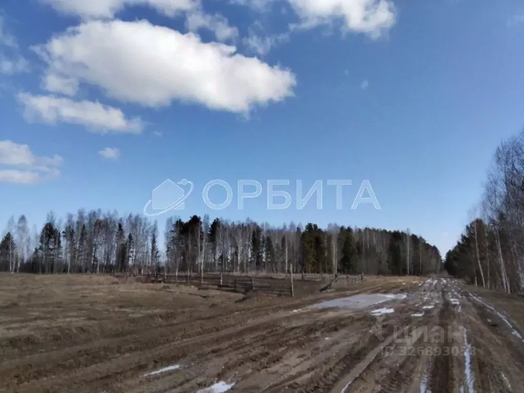 Участок в Тюменская область, Нижнетавдинский муниципальный округ, пос. ... - Фото 2