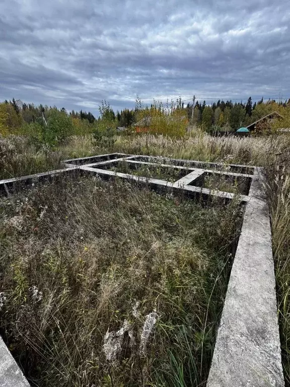 Участок в Пермский край, Нытвенский городской округ, д. Луговая  (12.0 ... - Фото 1