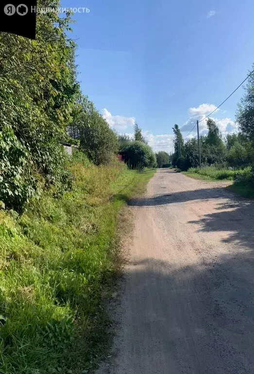 Участок в Рабитицкое сельское поселение (16.9 м) - Фото 2