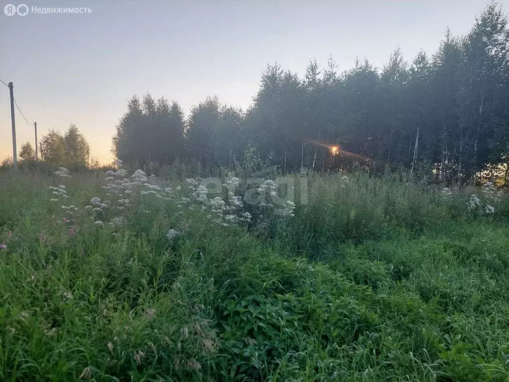 Участок в муниципальный округ Омский район, деревня Зелёное Поле (10 ... - Фото 1