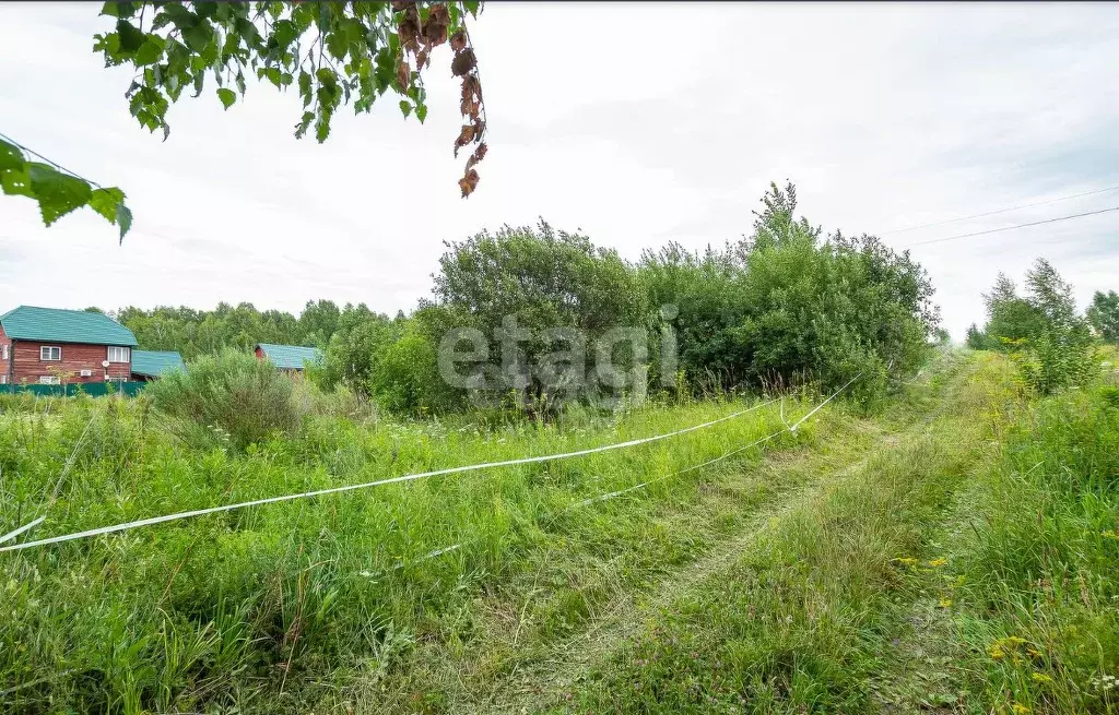 Участок в Новосибирская область, Новосибирский район, Барышевский ... - Фото 2