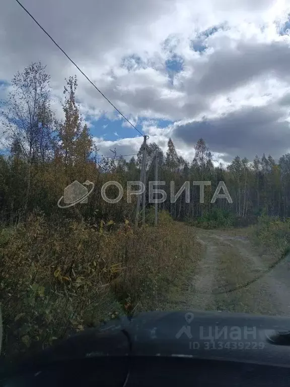 Участок в Тюменская область, Нижнетавдинский район, Сундукульский ... - Фото 1