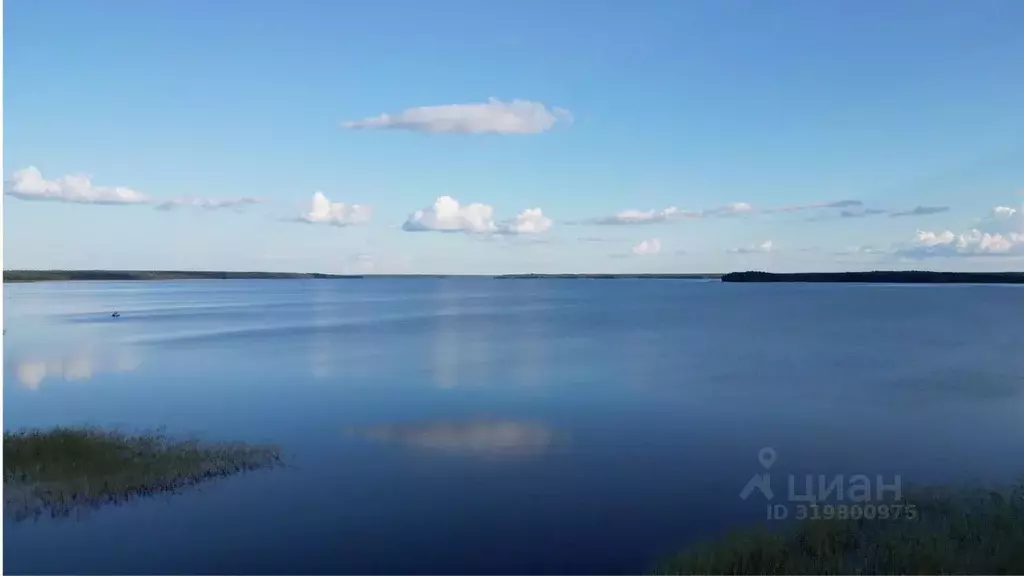 Участок в Ленинградская область, Выборгский район, Красносельское ... - Фото 1