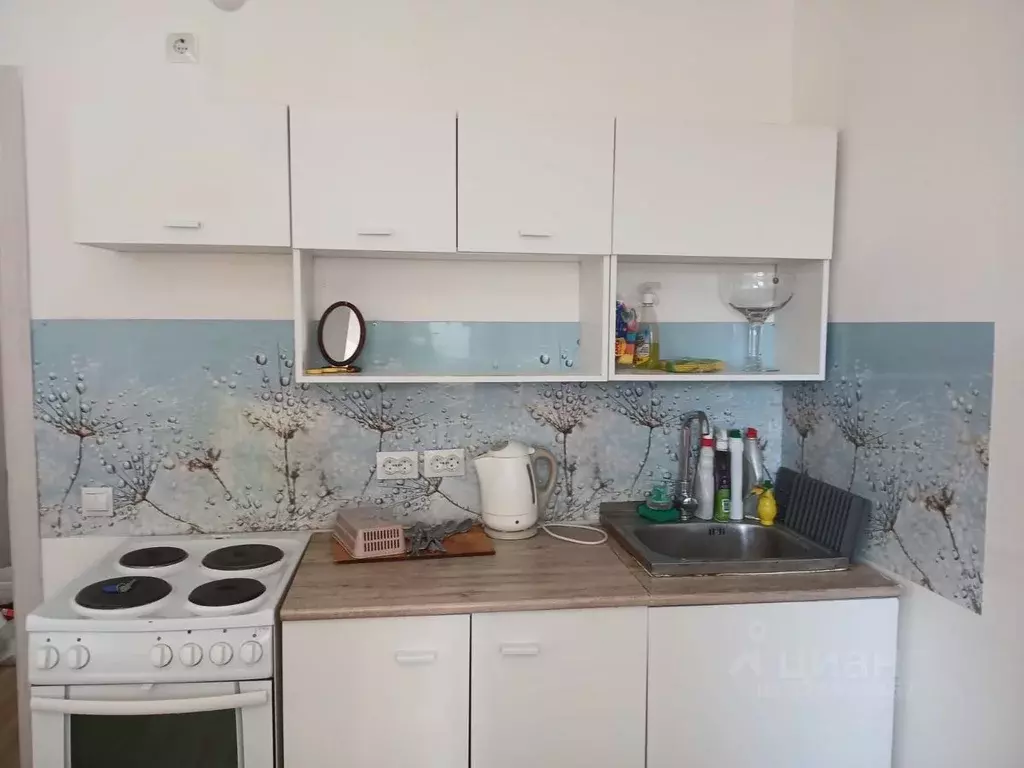 Студия Санкт-Петербург дор. Муринская, 27к1 (20.0 м) - Фото 2