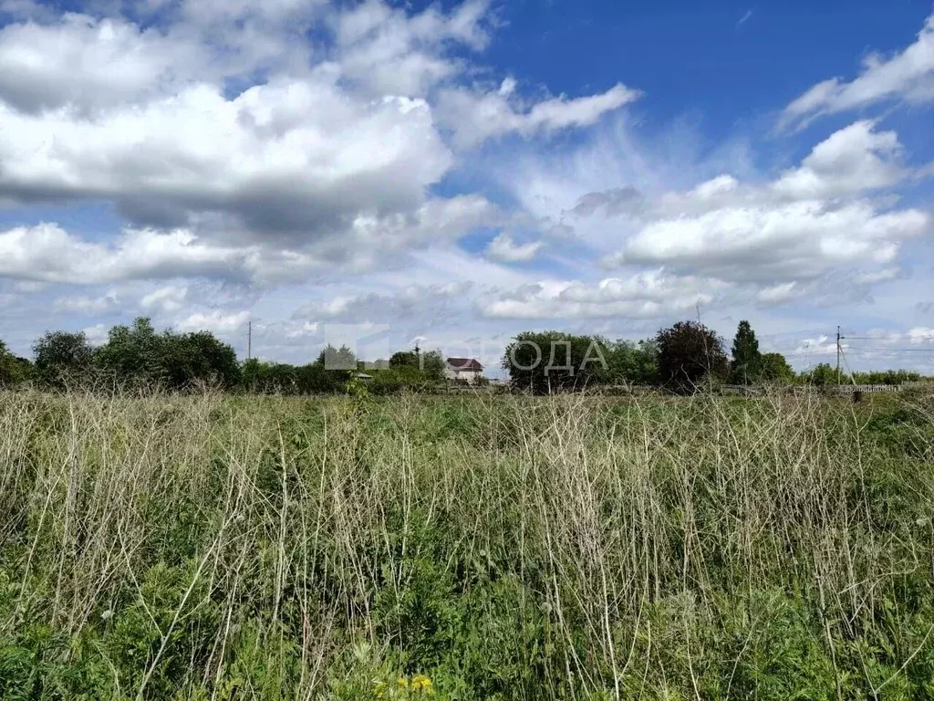 Участок в Алтайский край, Барнаул городской округ, пос. Бельмесево ул. ... - Фото 1