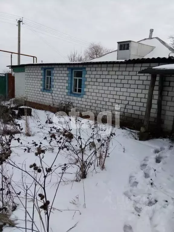 Дом в Белгородская область, Красногвардейский район, Палатовское ... - Фото 1