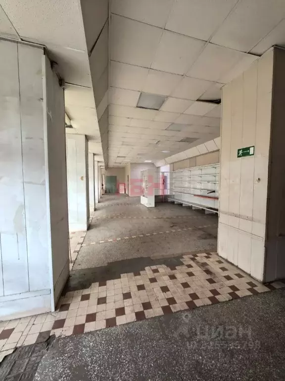 Помещение свободного назначения в Омская область, Омск ул. 8-я ... - Фото 1