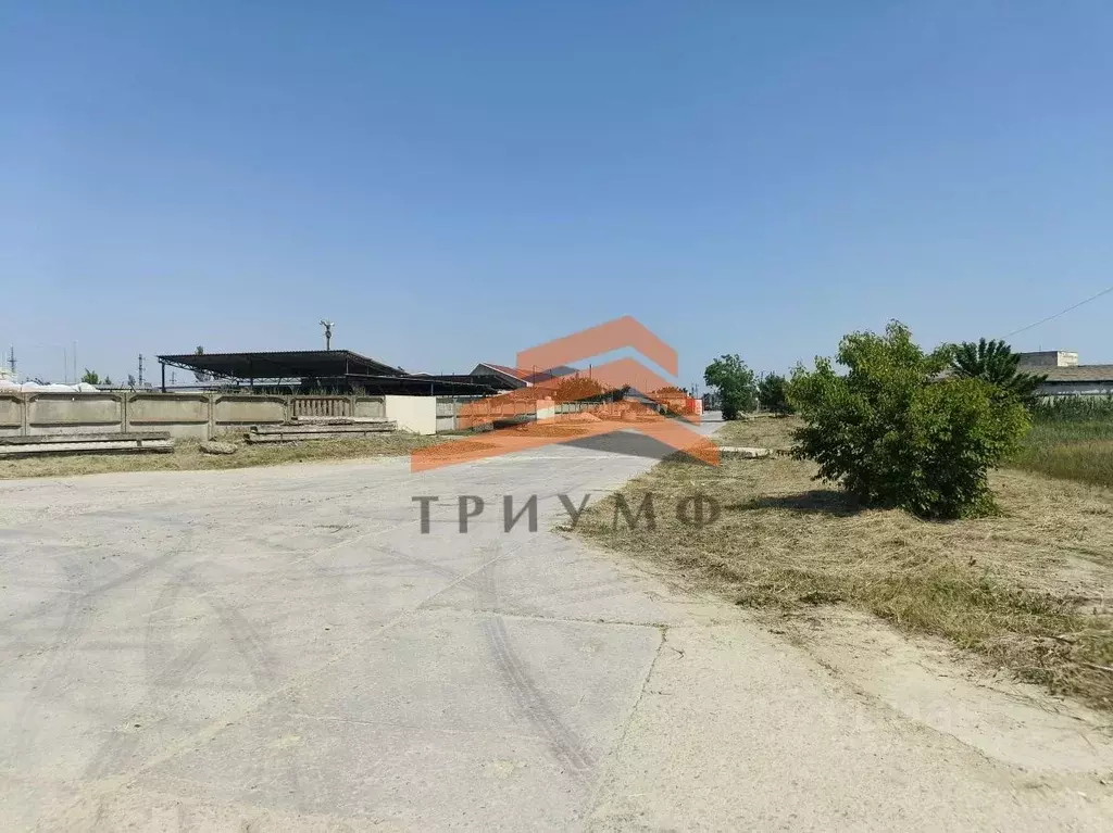 Участок в Крым, Феодосия туп. Черноморский (20.0 сот.) - Фото 0