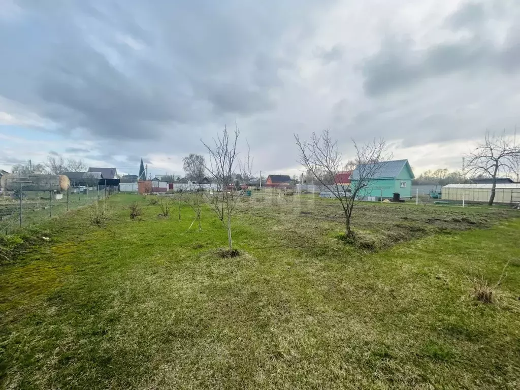 Участок в Московская область, Коломна городской округ, с. Пирочи ул. ... - Фото 1