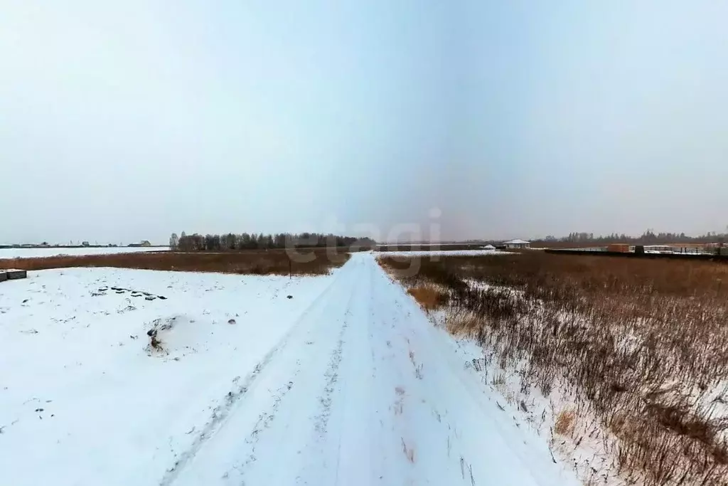 Участок в Тюменская область, Тюменский район, с. Борки ул. Филиновская ... - Фото 0