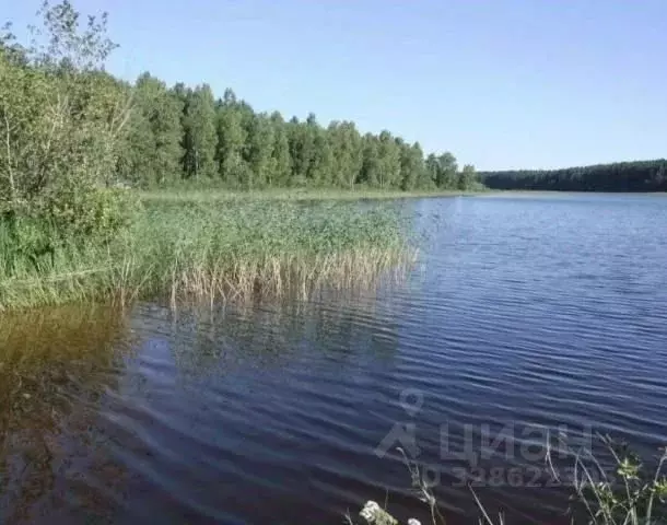 Участок в Тверская область, Осташковский муниципальный округ, д. ... - Фото 2