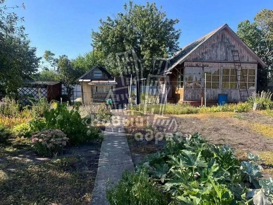 Дом в Воронежская область, Воронеж Заветы Мичурина СНТ, ул. Насосная, ... - Фото 1