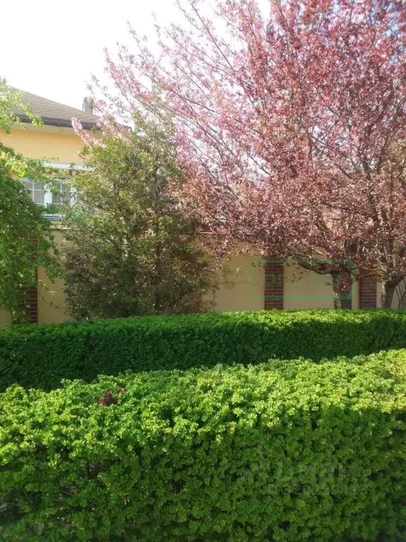 Дом в Калининградская область, Гурьевский муниципальный округ, пос. ... - Фото 1