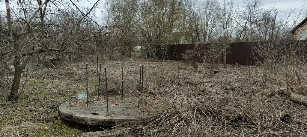 Участок в село Толмачево, СДТ Союз (5 м) - Фото 1