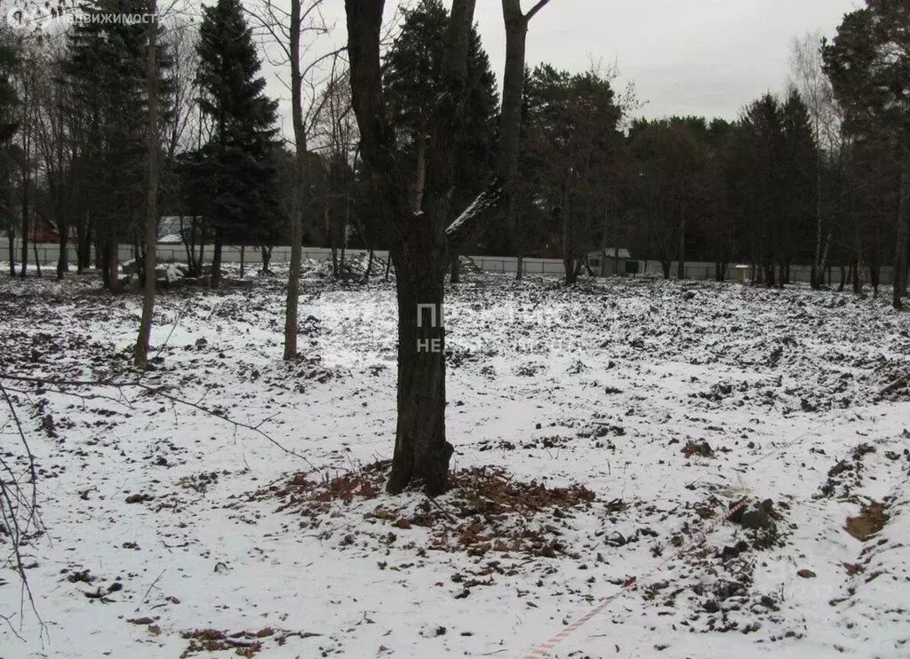 Участок в Дедовск, улица Чайковского (12.03 м) - Фото 2