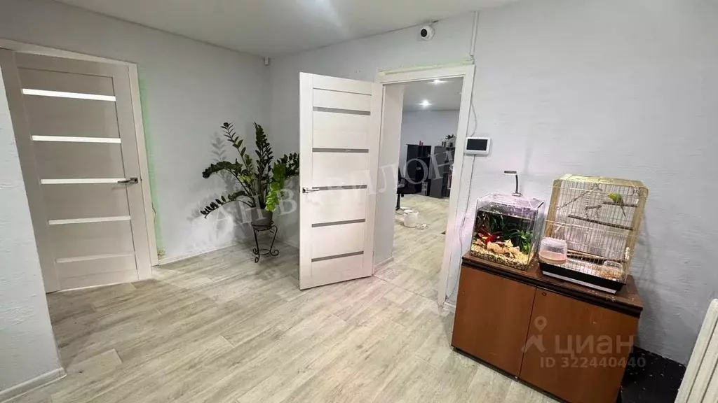 Помещение свободного назначения в Смоленская область, Смоленск ул. ... - Фото 1