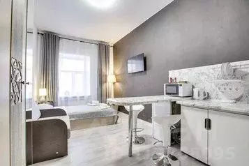1-к кв. Санкт-Петербург Пушкинская ул., 18 (20.0 м) - Фото 0